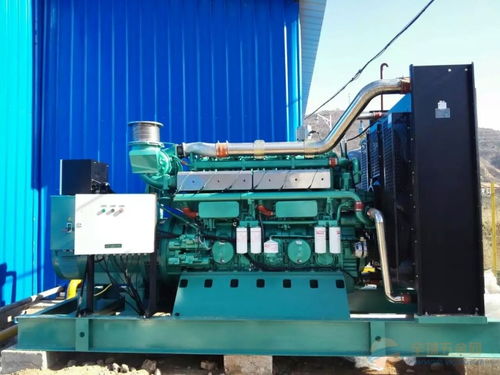 沼氣發(fā)電機(jī)