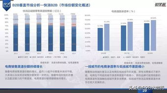 b2b電商20年驚變 政策鼓勵 供需變革 技術更迭 深度行研報告